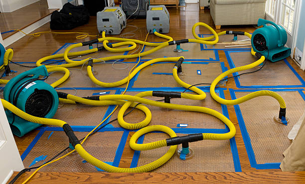 Professional Crawl Space Water Removal technician working in Winona, OH